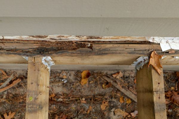 Tacoma Wood Rot Repair