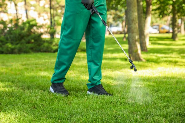 Tacoma Lawn Treatment
