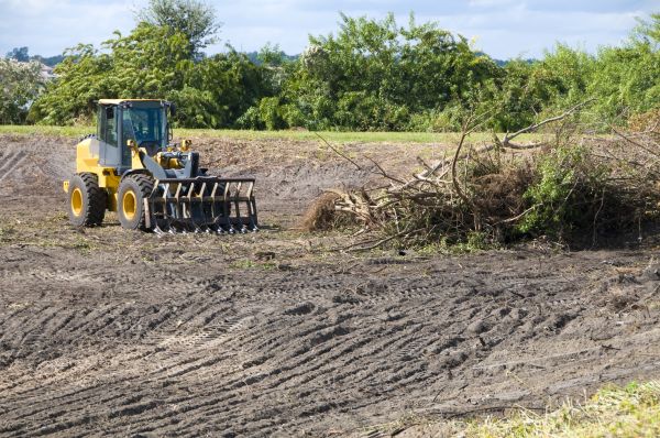 Tacoma Land Clearing